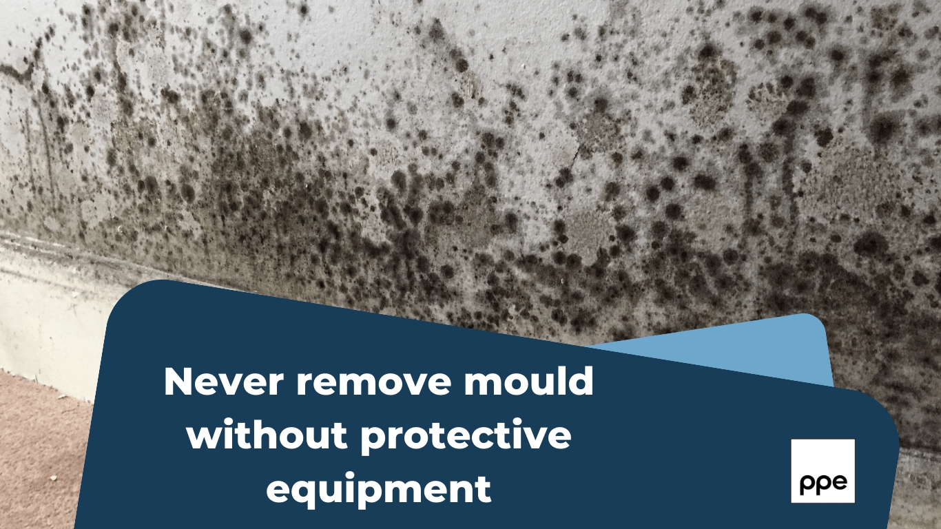 Never remove mould without protective equipment - Vimarsana News
